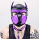 Everything you need to know about Gay Pup Play